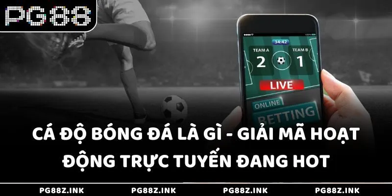 Cá độ bóng đá là gì - Giải mã hoạt động trực tuyến đang hot