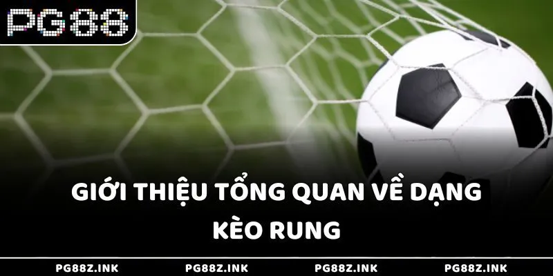 Giới thiệu tổng quan về dạng kèo rung