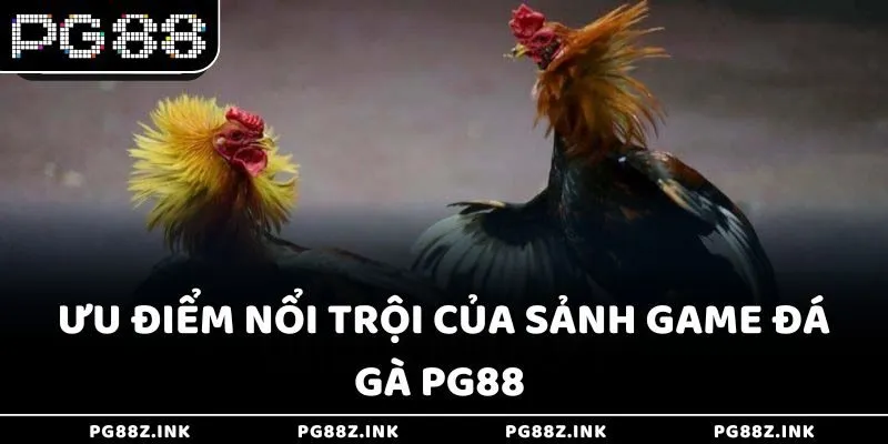Ưu điểm nổi trội của sảnh game đá gà PG88 